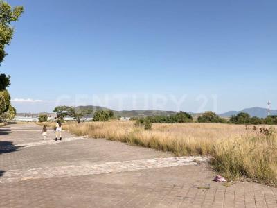 Terreno en venta de 2 hectáres en Cabrera , Atlixco Puebla 1,, Atlixco, Puebla 74360, Mexico