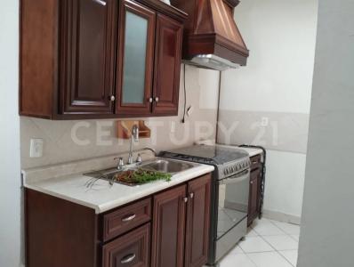 Saltillo, 科阿韋拉 25256, 墨西哥