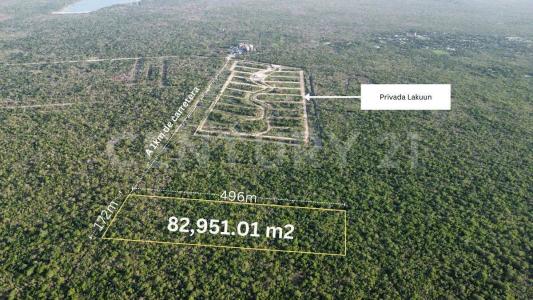 TABLAJE 7931,, Mérida, Yucatán 97303, México