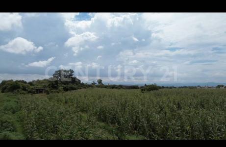 antigua carretera cuautla sn,, Atlatlahucan, Morelos 62846, México