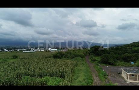 antigua carretera cuautla sn,, Atlatlahucan, Morelos 62846, México