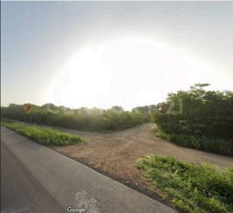 CARR CHICXULUB PTO. S/N,, Conkal, Yucatan 97345, Mexico