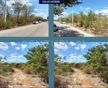 Mérida, יוקטן 97300, מקסיקו