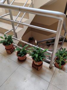 Calle J Prudencio Bustillos 701, Sucre, Chuquisaca 00001, Bolivia