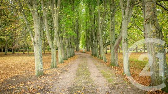 Falaise, Basse-Normandie 14700, França