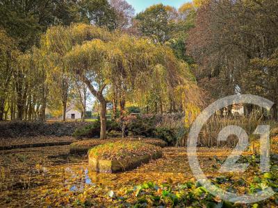 Falaise, Basse-Normandie 14700, França