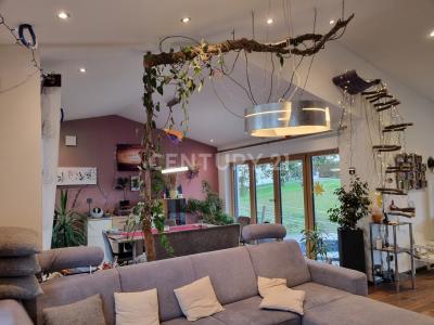 Ortenburg, Bayern 94496, גרמניה 