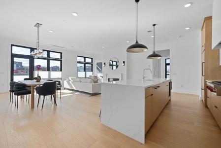 14 Green Street , #PH1, Brookline, Massachusetts 02446, Stati Uniti