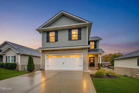 35 Palmetto Court, Johnson City, 테네시 37615, 미국