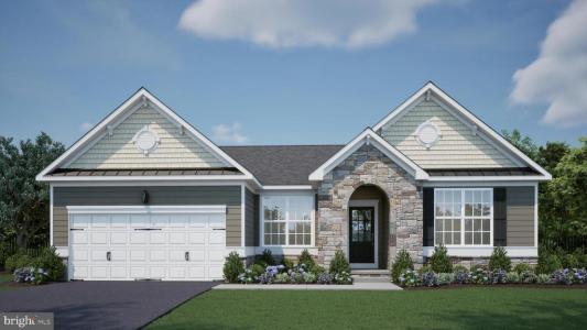 MOUNT JOY ROAD, MILLSBORO, Delaware 19966, Amerika Birleşik Devletleri