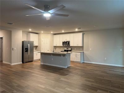 17253 Cagan Crossings Boulevard, CLERMONT, 佛罗里达州 34714, 美国