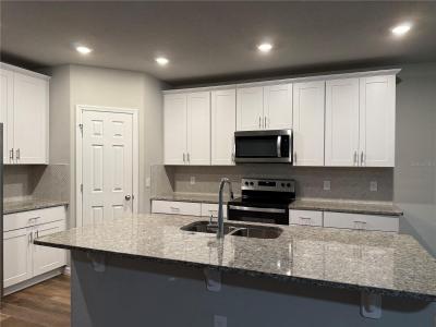 17253 Cagan Crossings Boulevard, CLERMONT, 佛罗里达州 34714, 美国