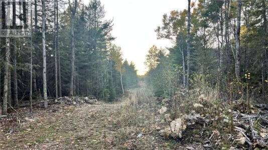 NA CHECKERBOARD LANE, Gore Bay, Ontario P0P 1H0, Canada