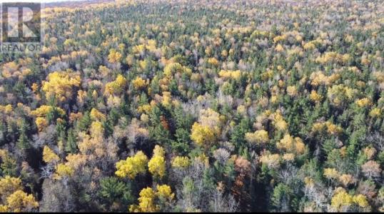 NA CHECKERBOARD LANE, Gore Bay, オンタリオ P0P 1H0, カナダ