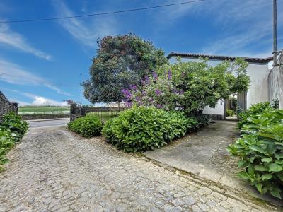 Ribeira Grande, São Miguel 9600-319, Portugal