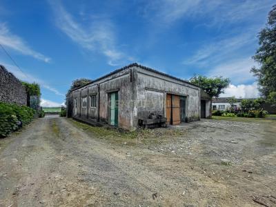 Ribeira Grande, São Miguel 9600-319, Portugal