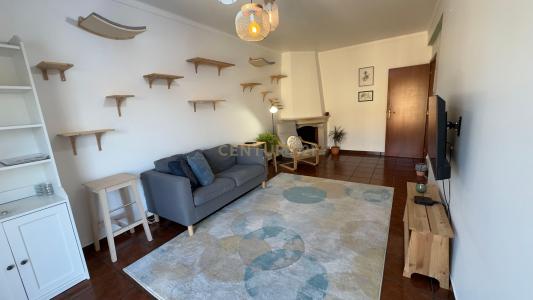 Cartaxo, Santarem 2070-010, Portugal