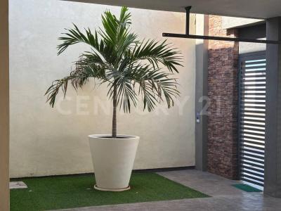 Viñedo de Champaña #995,, Ahome, ولاية سينالوا 81228, المكسيك