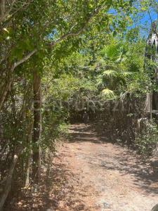 Othon P Blanco, Quintana Roo 77940, Mexiko