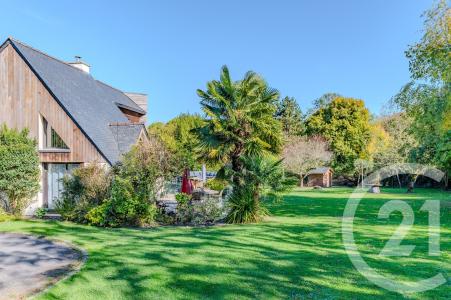 Laille, Bretagne 35890, France