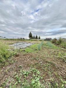 高柳, 久喜市, Сайтама 349-1125, Япония