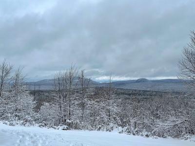 3383 I.P. Road, Morgan, Vermont 05853, Estados Unidos