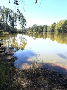 257 Adams Road, Chula, Georgia 31733, Amerika Birleşik Devletleri