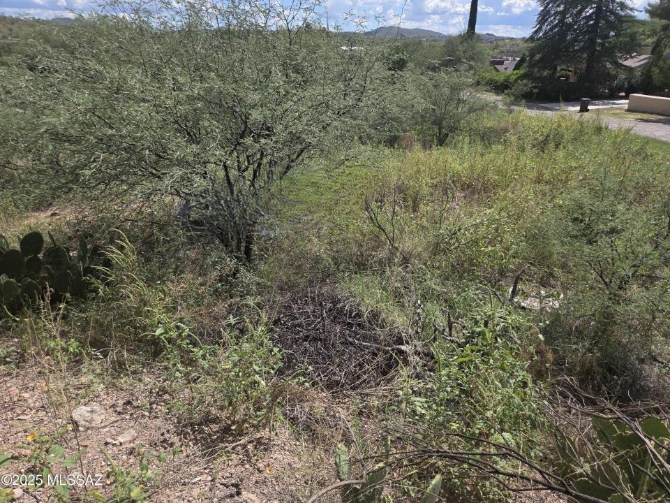 Tbd N Camino Rebecca 17, Nogales, Arizona 85621, Estados Unidos