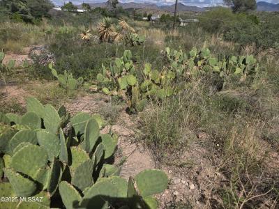 Tbd N Camino Rebecca 17, Nogales, Arizona 85621, Estados Unidos