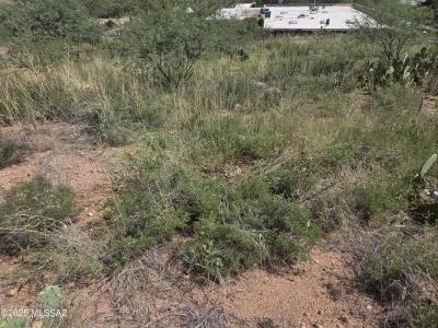 Tbd N Camino Rebecca 17, Nogales, Arizona 85621, Estados Unidos