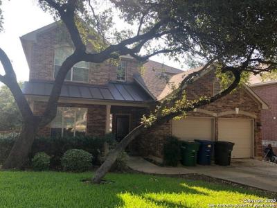 18702 Rogers Lk, San Antonio, 得克萨斯州 78258, 美国