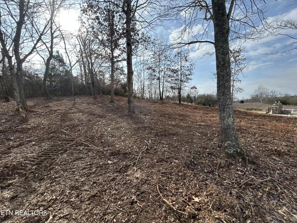 Lot 232 Star Lane, Rockwood, Tennessee 37854, États-Unis