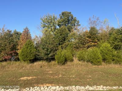Lot 232 Star Lane, Rockwood, Tennessee 37854, États-Unis