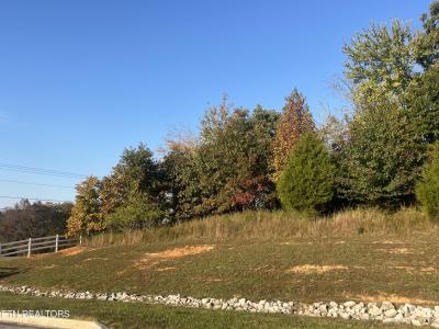 Lot 232 Star Lane, Rockwood, Tennessee 37854, États-Unis