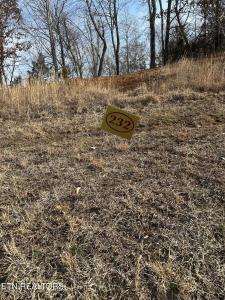 Lot 232 Star Lane, Rockwood, Tennessee 37854, États-Unis