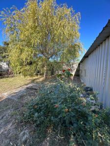 Salinas, Canelones 00001, Uruguay