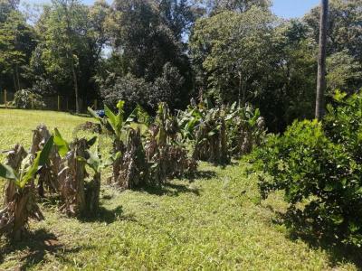 Condominio Privado Campo Tirol , Capitán Miranda, Itapúa 00001, Paraguay