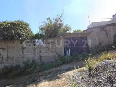 KIWI 92 'A',, La Paz, Estado De México 56520, Mexico