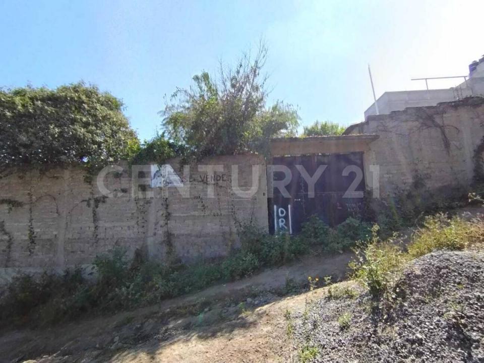 KIWI 92 'A',, La Paz, 멕시코 주 56520, 멕시코