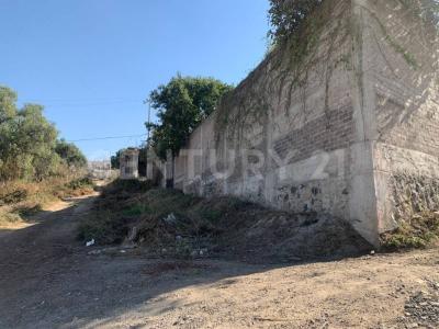 KIWI 92 'A',, La Paz, 멕시코 주 56520, 멕시코