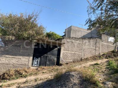 KIWI 92 'A',, La Paz, 멕시코 주 56520, 멕시코