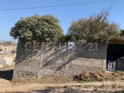 KIWI 92 'A',, La Paz, 멕시코 주 56520, 멕시코