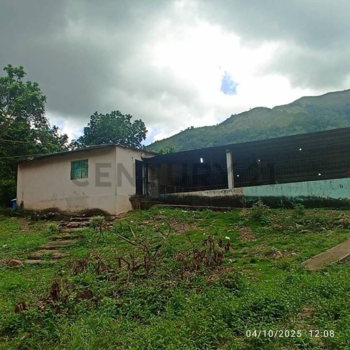 Maturín, Monagas 6201, Venezuela