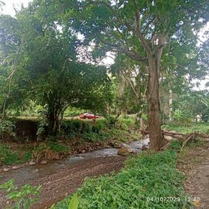 Maturín, Monagas 6201, Venezuela