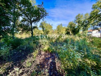 Poreč, Poreč, Istarska Županija, 克羅地亞