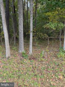 Lot 104 American Drive, Montross, Virginia 22520