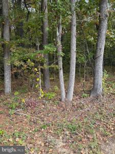 Lot 104 American Drive, Montross, Virginia 22520
