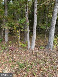 Lot 104 American Drive, Montross, Virginia 22520