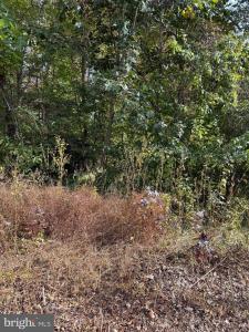 LOT 41 Travellers Circle, Montross, Virginia 22520