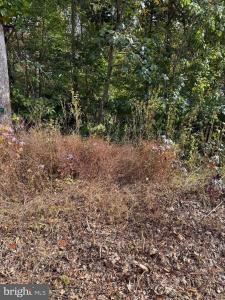 LOT 41 Travellers Circle, Montross, فرجينيا 22520, الولايات المتحدة